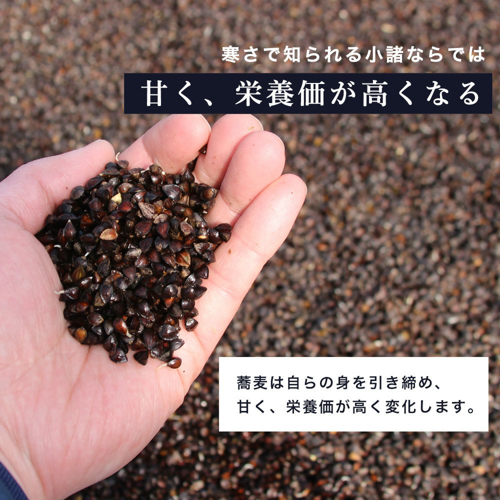 寒ざらしそば粉｜甘みと旨みを楽しむ季節限定の石臼挽きそば粉〈公式